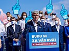 Hnutí ANO zahájilo kampa k volbám do Poslanecké snmovny. Na snímku uprosted...