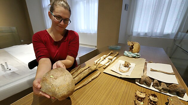 Archeoložka Klára Hanáková při instalaci výstavy nazvané Smrt pohledem archeologie v chebském muzeu.
