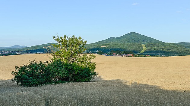 Zelen vrcholky Malch Karpat n nad okoln ninou.