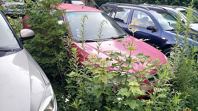 Odtah vraku v pra�sk�ch Hodkovi�k�ch zdr�uje dohoda mezi ��ady.