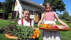 Leontýnka a Lucie, dcery Lenky Reicheltové, ukazují bylinky, z nichž jejich...