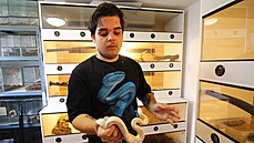 Čtyřiadvacetiletý chovatel Tomáš Vodička si oblíbil hady, kterých má asi...