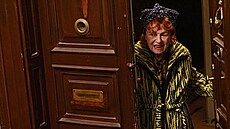 Iva Jan�urová ve filmu Jedin� Tereza