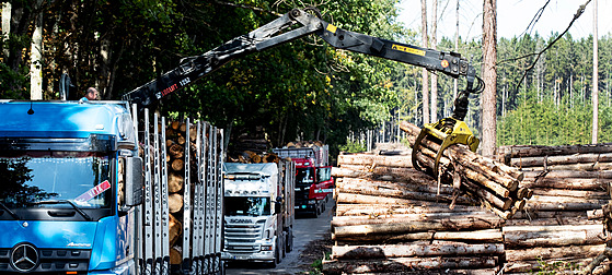 ilustra�ní snímek