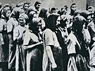 Vzekyn v Osvtimi v roce 1940