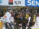 Hokejisté Litvínova slaví gól proti Liberci.