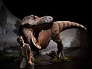 Univerzita Dinosauria provede návtvníky historií, ukáe píbhy jednotlivých...