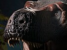 Tyranosaurus Rex il ped 66 miliony let na území dneních Spojených stát...