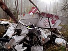 rusko letadlo nehoda L-410