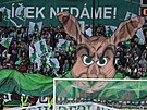Transparent fanouk Bohemians ped zápase proti Slavii