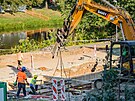 Ppravy na stavbu lvky pes Labe u Aldisu v Hradci Krlov (9. z 2021)