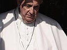Jeho svatost pape Frantiek
