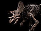 Jedna z nejvtích sbírek dinosaur na svt pistála u praského letit.