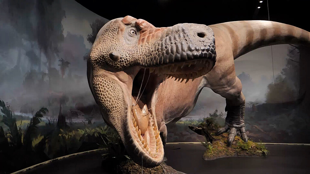 Unikátní muzeum v Praze nabídne největší sbírku dinosaurů na světě -  iDNES.cz