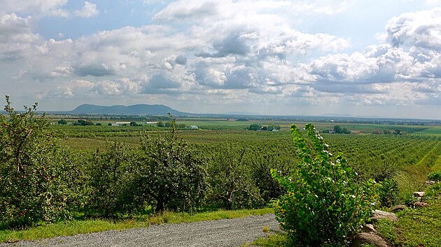 Na jedné z desítek farem v okolí Montrealu má rodina Vincenta Gadbois na starosti celkem 40 hektarů sadů jabloní, hrušek a borůvek. Samotné borůvky přitom zabírají celkem 12 hektarů.