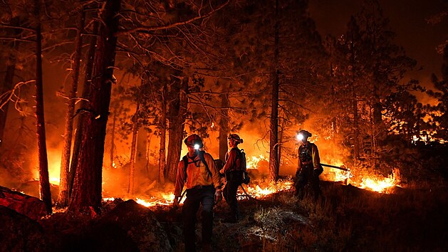 Kalifornt hasii bojuj s porem u jezera Tahoe. (5. z 2021)
