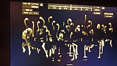 Plame�ák�m postupn� chladne noha, na ní� stojí ve vod�.