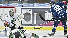 Plze� ve �tvrtém kole extraligy p�ivítala Mladou Boleslav.