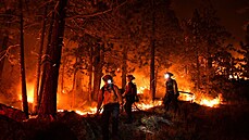 Kaliforntí hasii bojují s poárem u jezera Tahoe. (5. záí 2021)