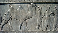 Sochy velbloud�, které byly vytesány do skalních st�n v Saúdské Arábie, jsou...