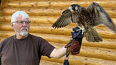 Jan Marek provozuje ve Velké Dobré na Kladensku �kolu sokolnictví a u�í nové...