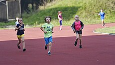 Atletické oddíly jsou v nejistot. Stále neví, jak dlouho budou moci Na...