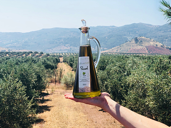 Olivový olej znaky Lozano ervenka a olivové háje, ze kterých vzeel.