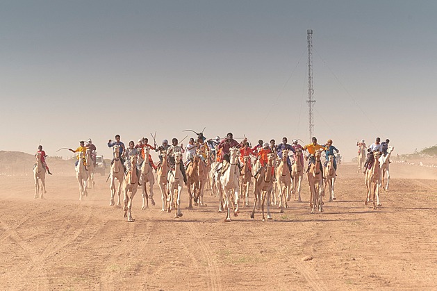 OBRAZEM: Sahara, žár a vášeň. Velbloudí závody znamenají slávu a radost