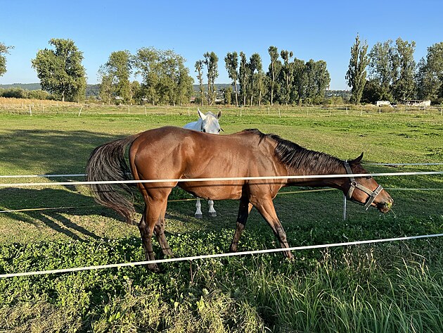 Fotografie pozen iPhonem 13 Pro