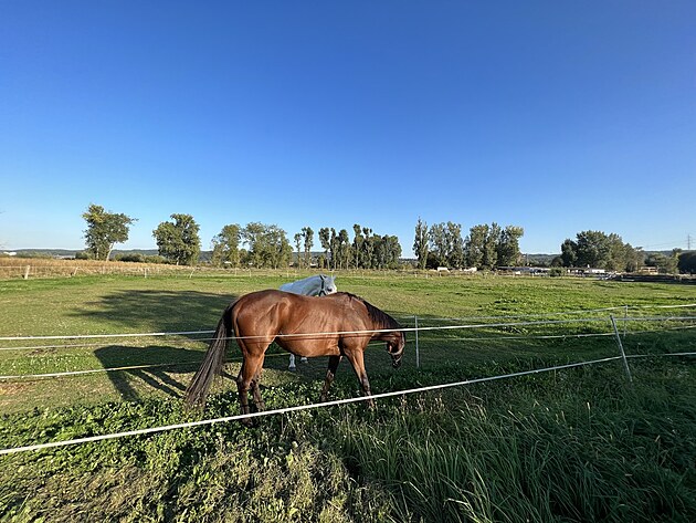 Fotografie pozen iPhonem 13 Pro