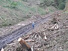 Kácení v lesích obce Liboovice zanechalo zdevastovanou nivní louku i dno...