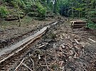 Kácení v lesích obce Liboovice zanechalo zdevastovanou nivní louku i dno...