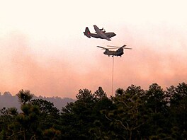 CH-47 Chinook a C-130 Hercules hasí lesní poár