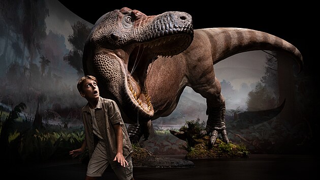 Expozice Dinosauria Museum Prague m i model tyrrannosaura rexe v ivotn velikosti