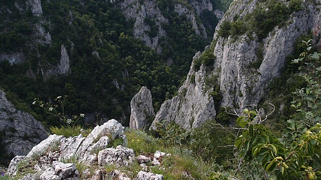 Psobiv vhledy nad Zdielskou dolinou