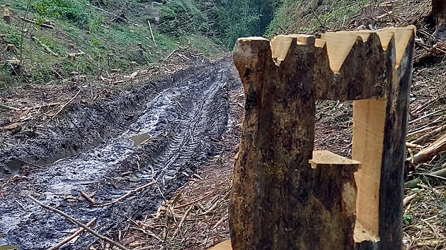 K�cen� v les�ch obce Libo�ovice zanechalo zdevastovanou nivn� louku i dno �dol�, hlubok� koleje, uv�zl� harvestor, lesn� paseku i zah�zen� potok.