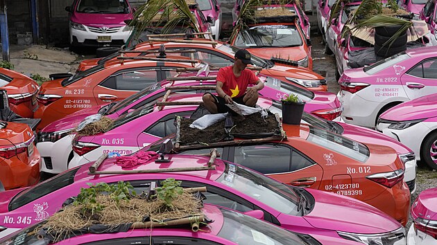 Miniaturn zahrdky vyrostly na stechch nevyuitch taxk na uzavenm parkoviti v Bangkoku. Substrt idii jednodue navrstvili na plachty napnut do ambusovch rm. (16. z 2021)