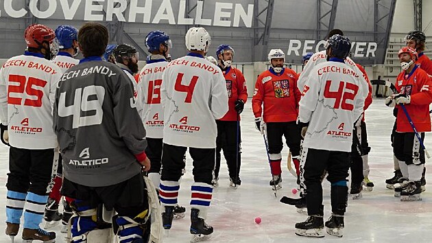 Trnink eskch reprezentant v bandy.