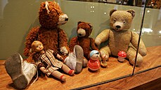 Brnnské Muzeum hraek v Mnínské brán nabízí vedle panenek i desítky medvd.