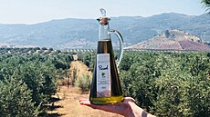 Olivový olej znaky Lozano ervenka a olivové háje, ze kterých vzeel.