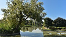 Část vodního trojzubce v zámeckém parku v Holešově (září 2021).