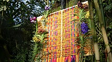 Výstava orchidejí v Botanické zahrad� hl. m. Prahy.