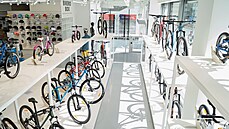 Bikero v Praze na Brumlovce.