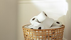 Pi výrob jedné ruliky toaletního papíru z celulózy se spotebuje o 40...