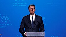 Srbský prezident Aleksandar Vučić při proslovu na demografickém summitu v...