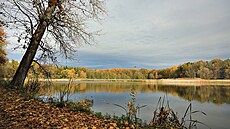 Národní pírodní rezervace Bohdaneský rybník byla vyhláena v roce 1951.