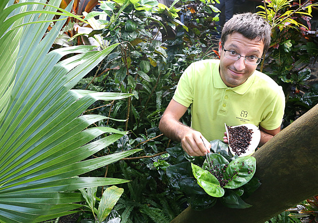 Kurátor teplické botanické zahrady Jan Ptáek