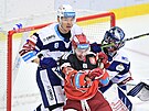 Utkání 12. kola hokejové extraligy: Mountfield Hradec Králové - HC Kometa Brno....