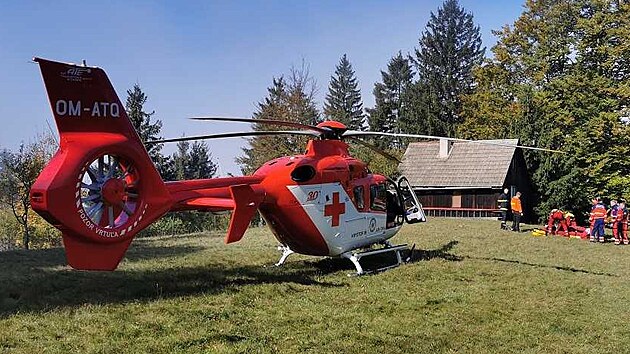 Vrtulník letecké záchranné služby vzlétl pro zraněného muže, na kterého na Vsetínsku spadl strom. (8. října 2021)
