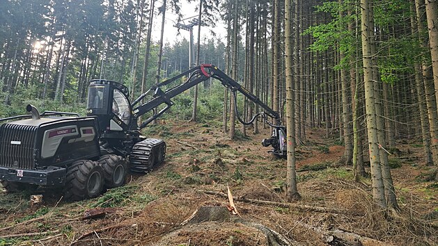 Na Tanvaldsk�m �pi��ku prob�h� rozs�hl� k�cen�.